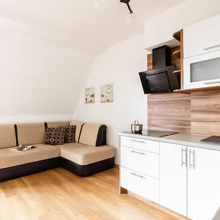 Na Wzgorzu Apartment Koscielisko