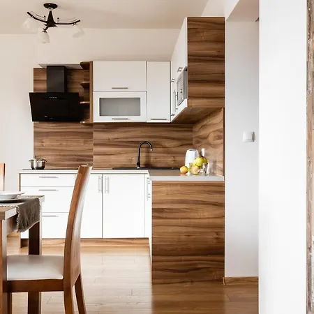 Na Wzgorzu Apartment Kościelisko